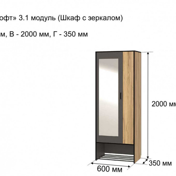Шкаф 2-х створчатый с зеркалом Ольга-Лофт М3.1