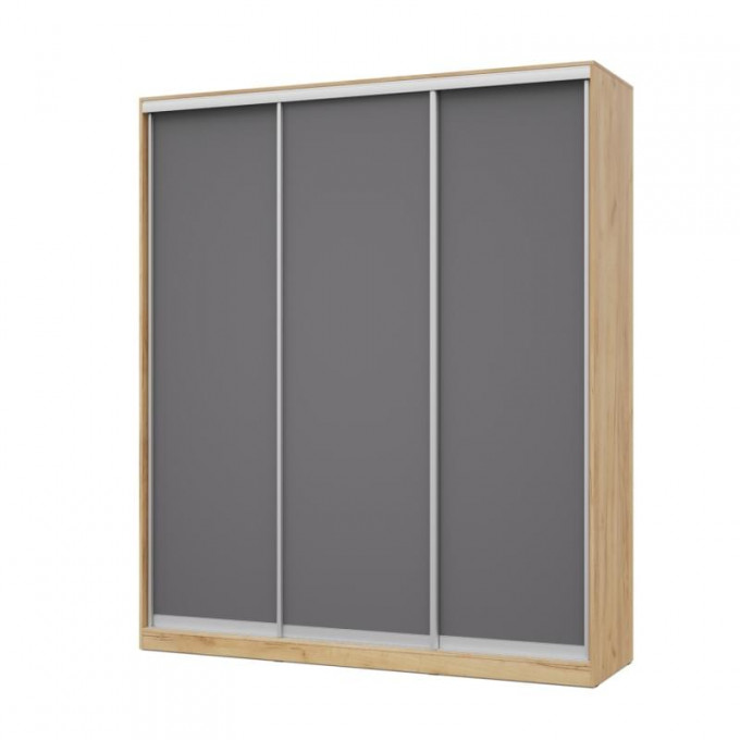 Шкаф-купе Роланд Р201 Анкор светлый/темный